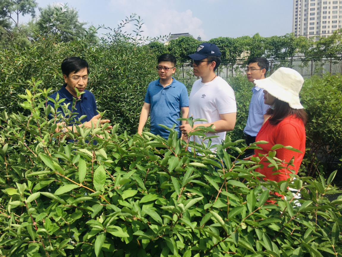 国家发改委各司处在蓝靛果资源圃考察